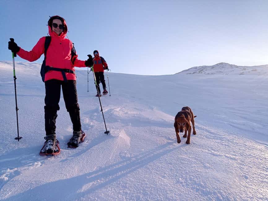 Sarajevo: Dinaric Alps Snowshoeing Tour - What the Day Looks Like