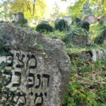 Sarajevo Full Day Tour: Hotel Pickup And All Fees Included - What to Expect from This Sarajevo Full Day Tour