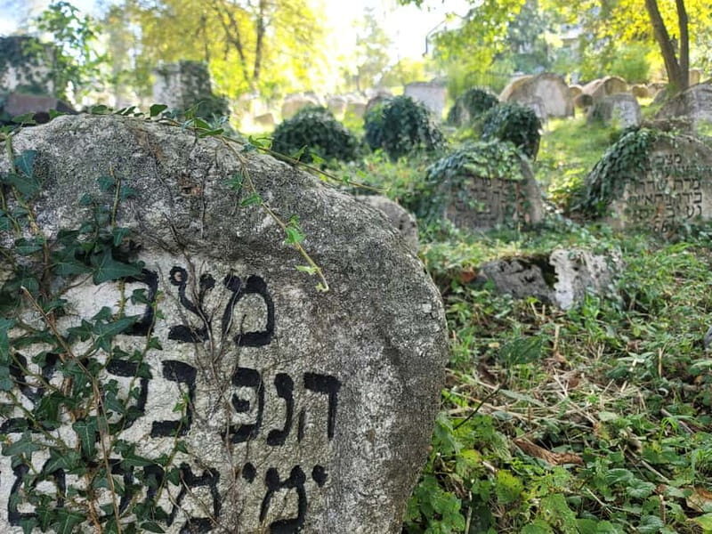 Sarajevo Full Day Tour: Hotel Pickup And All Fees Included - What to Expect from This Sarajevo Full Day Tour