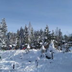 Sarajevo Sport tour: Olympic Mountains and Stadium Tour - Why This Tour Offers Real Value