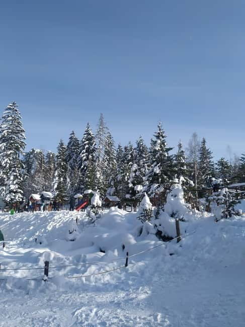 Sarajevo Sport tour: Olympic Mountains and Stadium Tour - Why This Tour Offers Real Value