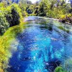 Saranda: Butrint, Blue Eye, Ksamil and Lekuresi Castle Tour - What’s Included and What to Keep in Mind