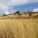 Saranda: Tour in South of Albania (Butrint, Blue Eye, Ksamil) - The Real Deal: What the Reviews Tell Us