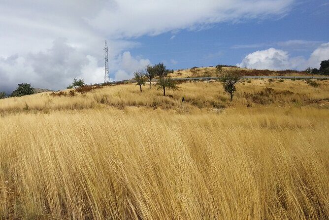 Saranda: Tour in South of Albania (Butrint, Blue Eye, Ksamil) - The Real Deal: What the Reviews Tell Us