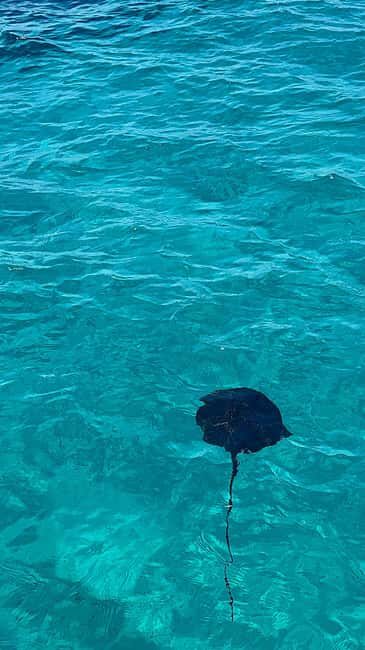 Sarandë: Riviera Secrets, Cruise to Krorez & Turquoise Bays - The Experience: Whats the Vibe?