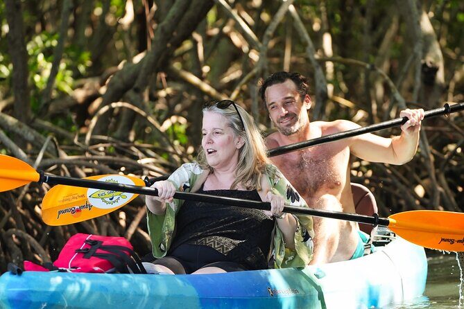 Sarasota Kayak and Food Tour - The Itinerary in Detail