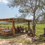 Sardinia: Dorgali Winery Tour with Tasting and Local Guide - What to Expect on the Dorgali Winery Tour