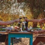Sardinian Olive Oil tasting & Picnic among the olive trees - What to Expect from the Olive Oil Tasting & Picnic