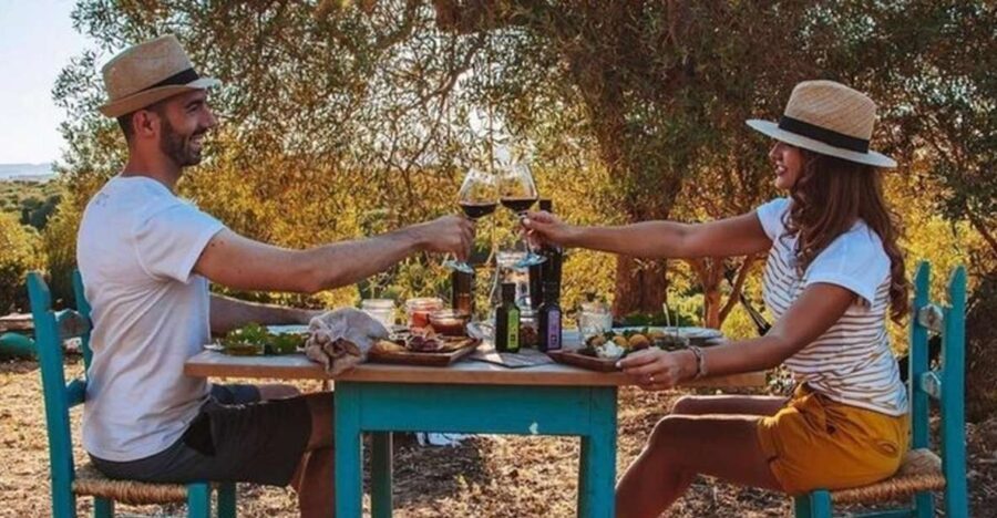 Sardinian Olive Oil tasting & Picnic among the olive trees - What to Expect from the Olive Oil Tasting & Picnic
