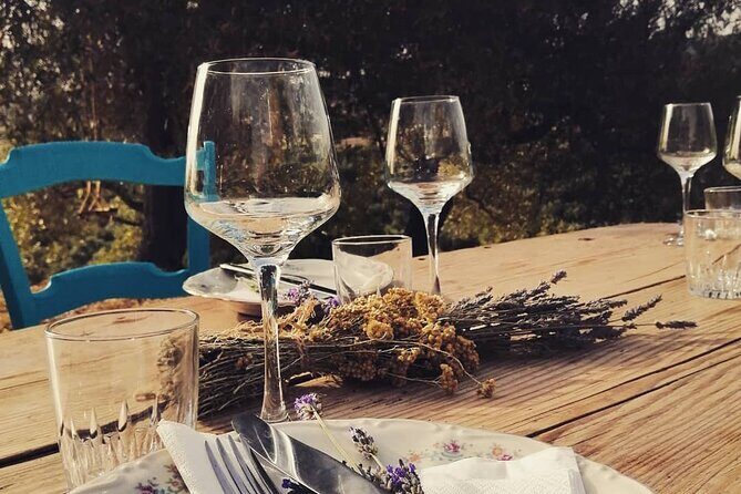 Sardinian Olive Oil tasting & Picnic among the olive trees - A Detailed Look at the Tour