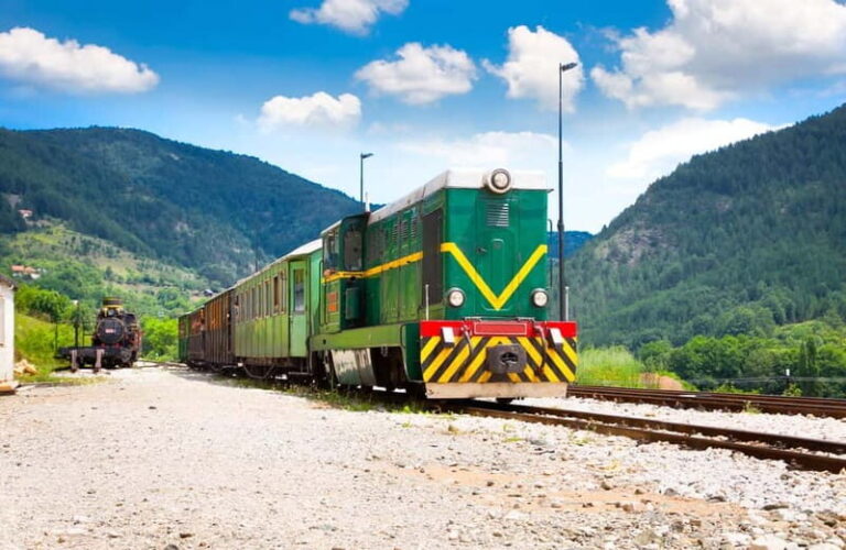 Sargan Eight railroad train ride & Tara mountain - Visiting Wooden Town: A Unique Cultural Experience