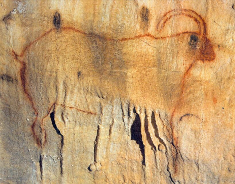 Sarlat : Private Tour to a Prehistoric Cave by Exploreo24 - Why This Tour Stands Out