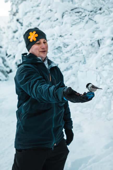 Särna: Brudslöjan Waterfalls Guided Hike with Lunch - Learning Fire-Making and Outdoor Skills