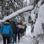 Särna: Fulufjället National Park Guided Hike with Lunch - Outdoor Skills and a Fireside Meal