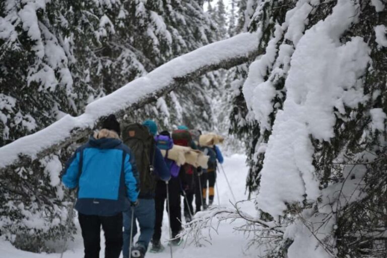 Särna: Fulufjället National Park Guided Hike with Lunch - Outdoor Skills and a Fireside Meal