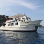 Savona: Exclusive nature cruise to the Pelagos Sanctuary - The Search and the Uncertainty