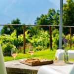 Savor Ossola Wines & Local Treats in a Scenic Vineyard - Practical Details