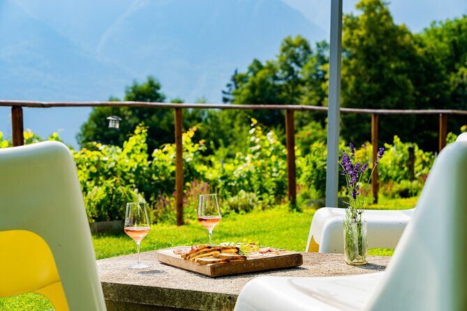 Savor Ossola Wines & Local Treats in a Scenic Vineyard - Practical Details