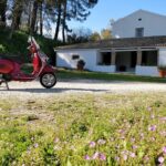 Savour The Flavors Of Corfu Vespa Scooter Tour - What Makes This Tour Stand Out?