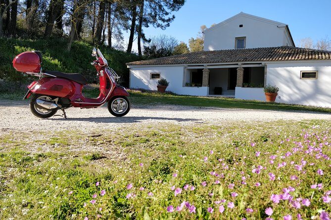 Savour The Flavors Of Corfu Vespa Scooter Tour - What Makes This Tour Stand Out?