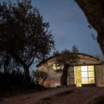 Savuto: Tour of the vineyards and visit to the winery with tastings - What to Expect During the Tour