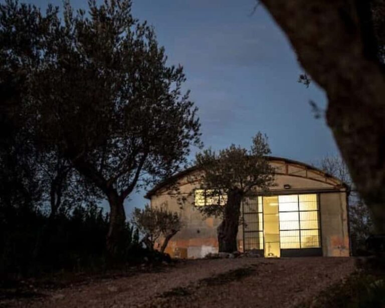 Savuto: Tour of the vineyards and visit to the winery with tastings - What to Expect During the Tour