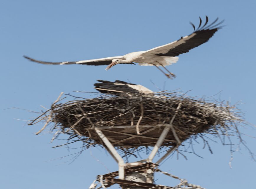 SB02 - Surroundings of Sibiu:Saxon Heritage &Scenic Villages - An In-Depth Look at the Surroundings of Sibiu Tour