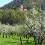 SB13 - Sibiu: Private Day Trip to Transylvanian Villages - Transportation & Comfort