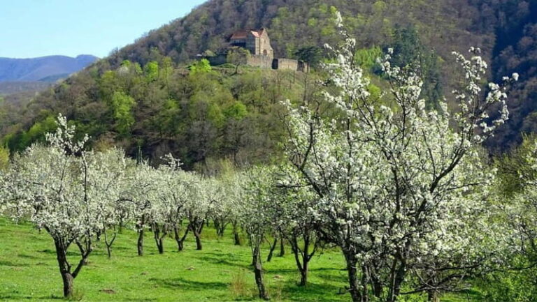 SB13 - Sibiu: Private Day Trip to Transylvanian Villages - Transportation & Comfort