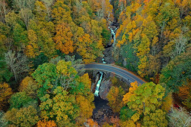 Scenic Driving Tour of the Blue Ridge Mountains - Who Should Book This?
