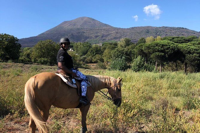 Scenic Horseback Ride, Wine Tasting & Lunch on Mt. Vesuvius - Key Points