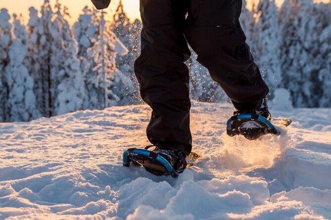Scenic Levi Snowshoe Trip - What Is This Snowshoe Trip All About?