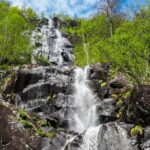 Scenic RIB adventure to Hardangerfjord & Fyksesund from Øystese - Final Thoughts: Who Will Love This Tour?