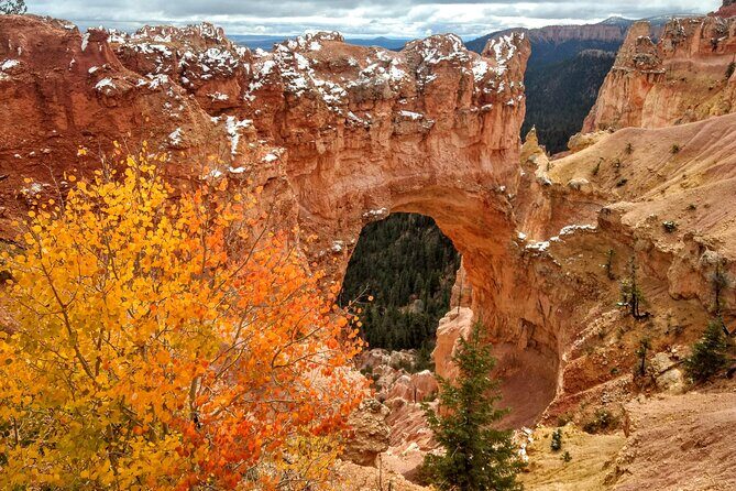 Scenic Tour of Bryce Canyon - The Value in the Price
