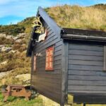 Scenic tour to Steinsfjellet, locals at Kringsjå & Rising Tide - What Do People Think?