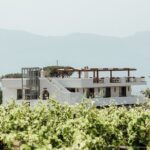 Scenic Wine Tasting & Lunch on the Slopes of Vesuvius from Naples - Who Should Consider This Tour?