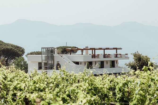 Scenic Wine Tasting & Lunch on the Slopes of Vesuvius from Naples - Who Should Consider This Tour?