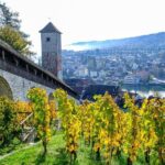 Schaffhausen: Express Walk with a Local in 60 minutes - The Landmarks and Highlights