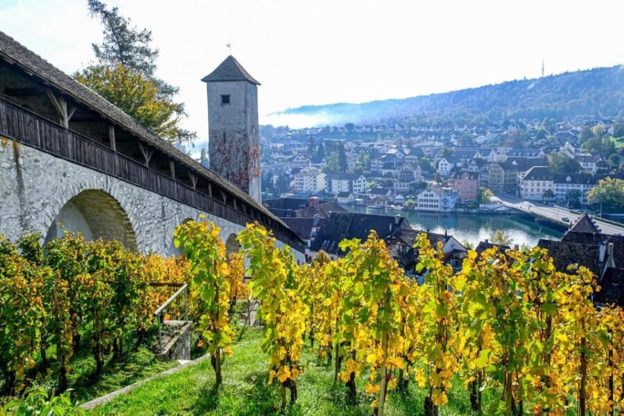 Schaffhausen: Express Walk with a Local in 60 minutes - The Landmarks and Highlights