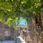 Schist Villages and medieval castles tour - Who Should Consider This Tour?