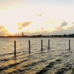 Schleswig: Highlights tour (cathedral, old town, Holm, city harbor) - What the Reviews Say