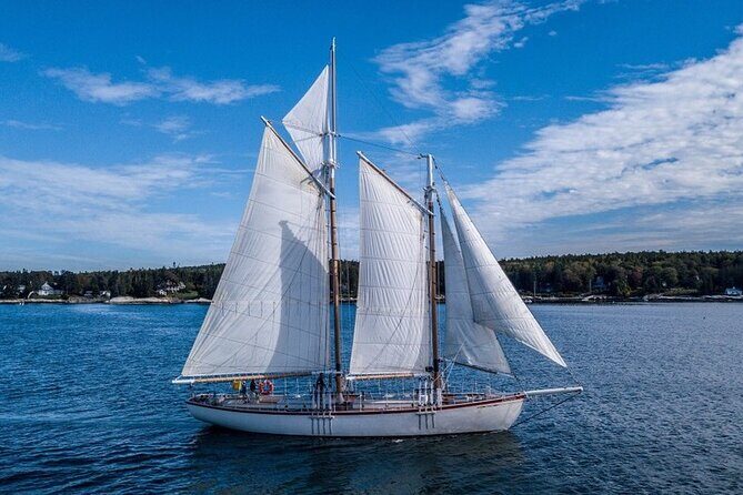 Schooner Eastwind 2 Hour Day Sail in Boothbay Harbor - Wildlife and Natural Sights
