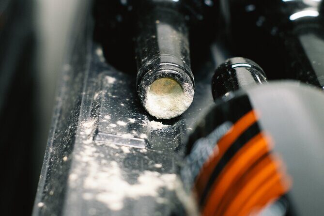 Scoprire la Vera Tintilia del Molise, Autentico ed Eccellenso - Who Should Consider This Tour?