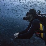 Scuba Diving - Marine Life and Landmarks