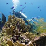 Scuba diving at MUSA the underwater museum for certified divers - Authentic Perspectives from Travelers