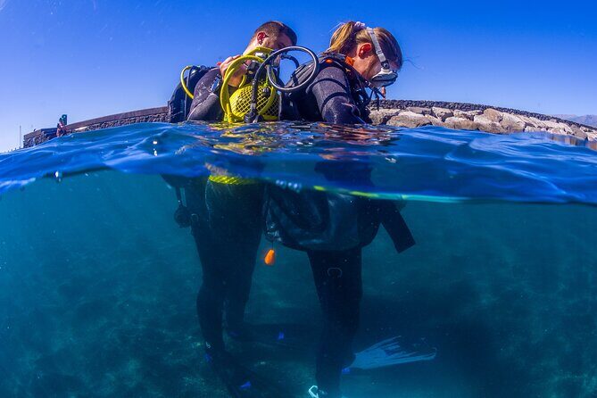Scuba Diving Baptism Experience in Santa Cruz Tenerife - Who Would Love This?