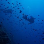 Scuba Diving Experience for Beginners In Greece - The Logistics: What’s Included and How It Works