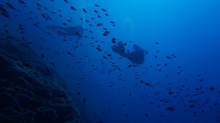 Scuba Diving Experience for Beginners In Greece - The Logistics: What’s Included and How It Works
