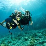 Scuba Diving Experience in Antalya with Lunch and Transfer - What to Expect from the Antalya Scuba Diving Tour