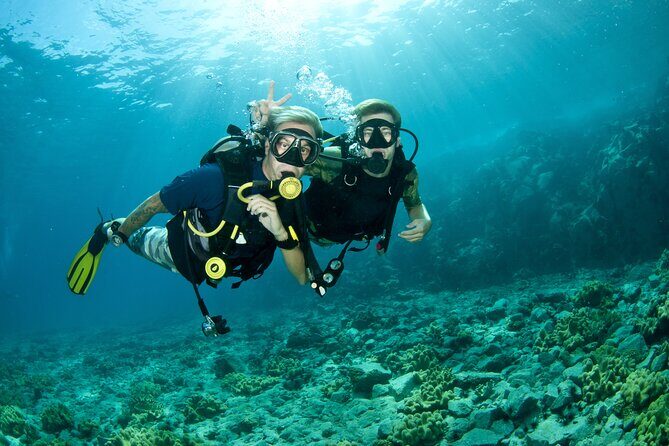 Scuba Diving Experience in Antalya with Lunch and Transfer - What to Expect from the Antalya Scuba Diving Tour